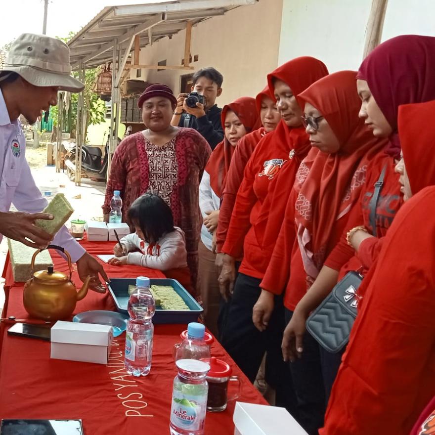 Pelatihan Pemanfaatan Lahan  Greenhouse